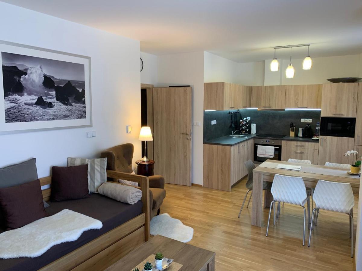 Apartment Rezidence - Javor & Wellness Железна Руда Екстер'єр фото