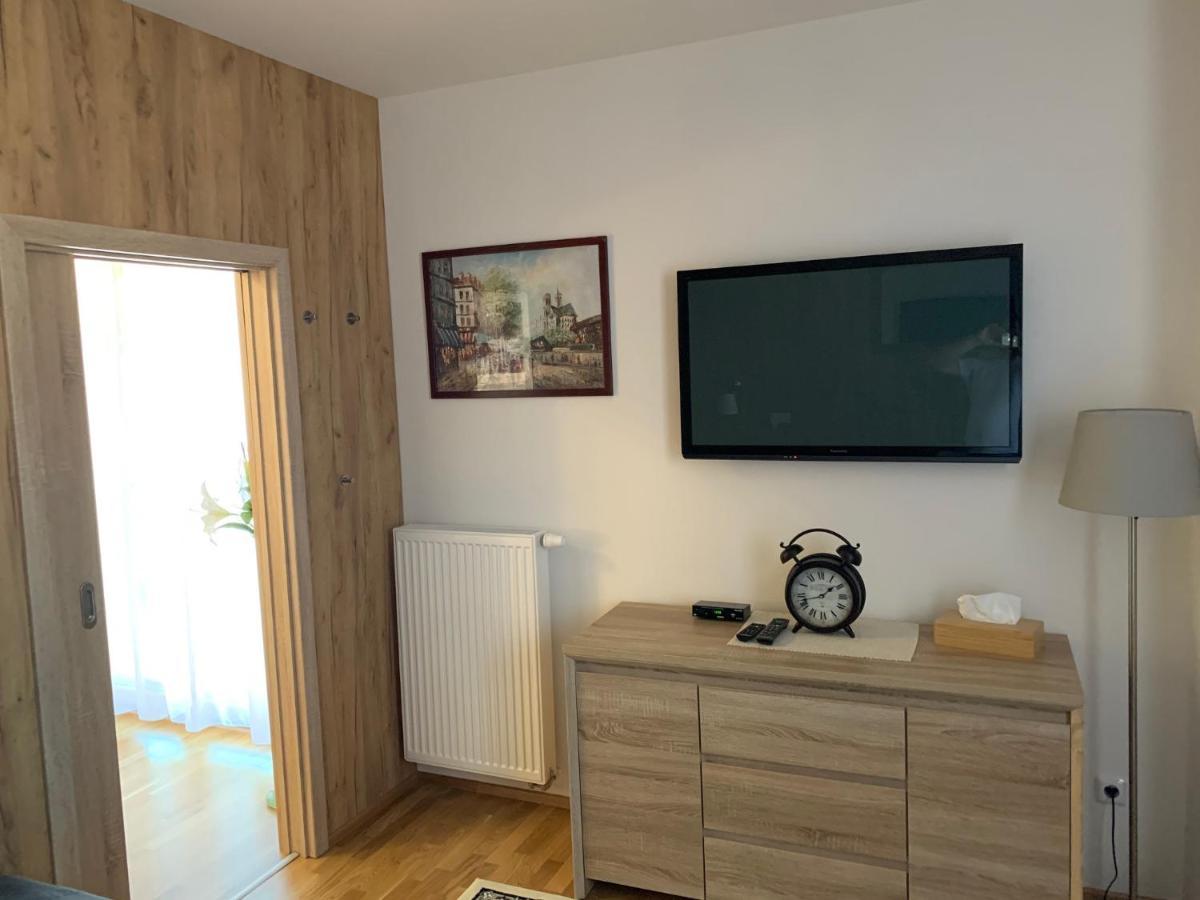 Apartment Rezidence - Javor & Wellness Железна Руда Екстер'єр фото