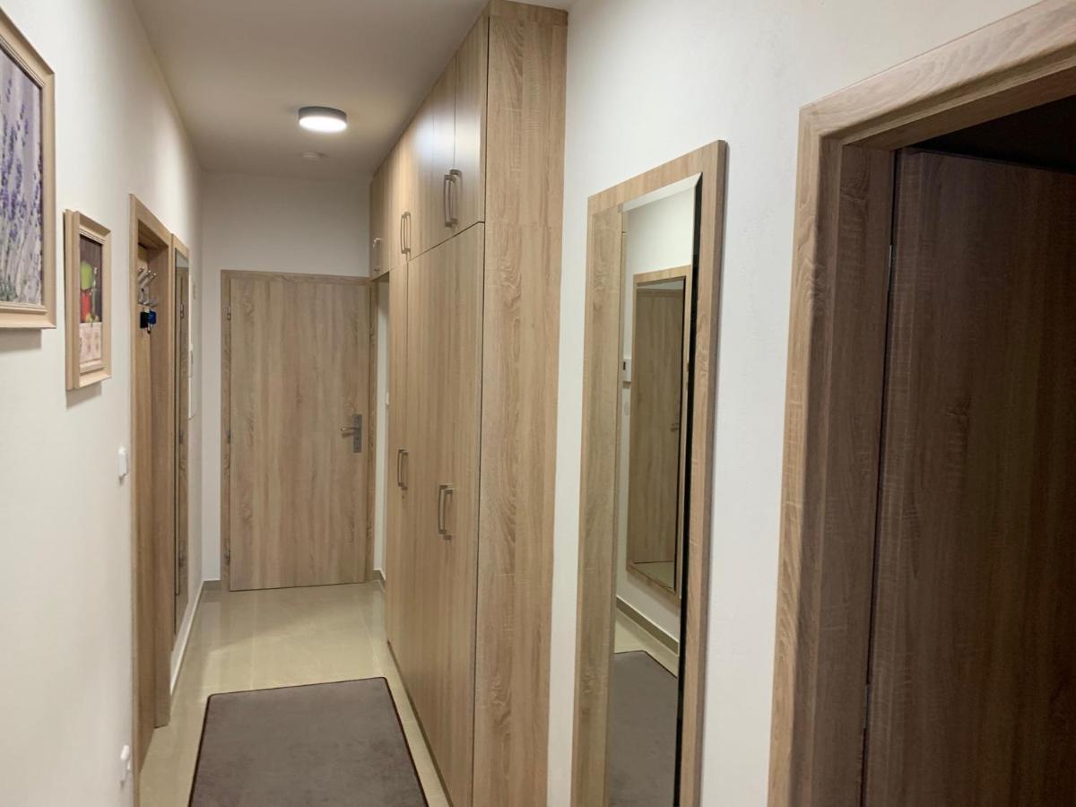 Apartment Rezidence - Javor & Wellness Железна Руда Екстер'єр фото