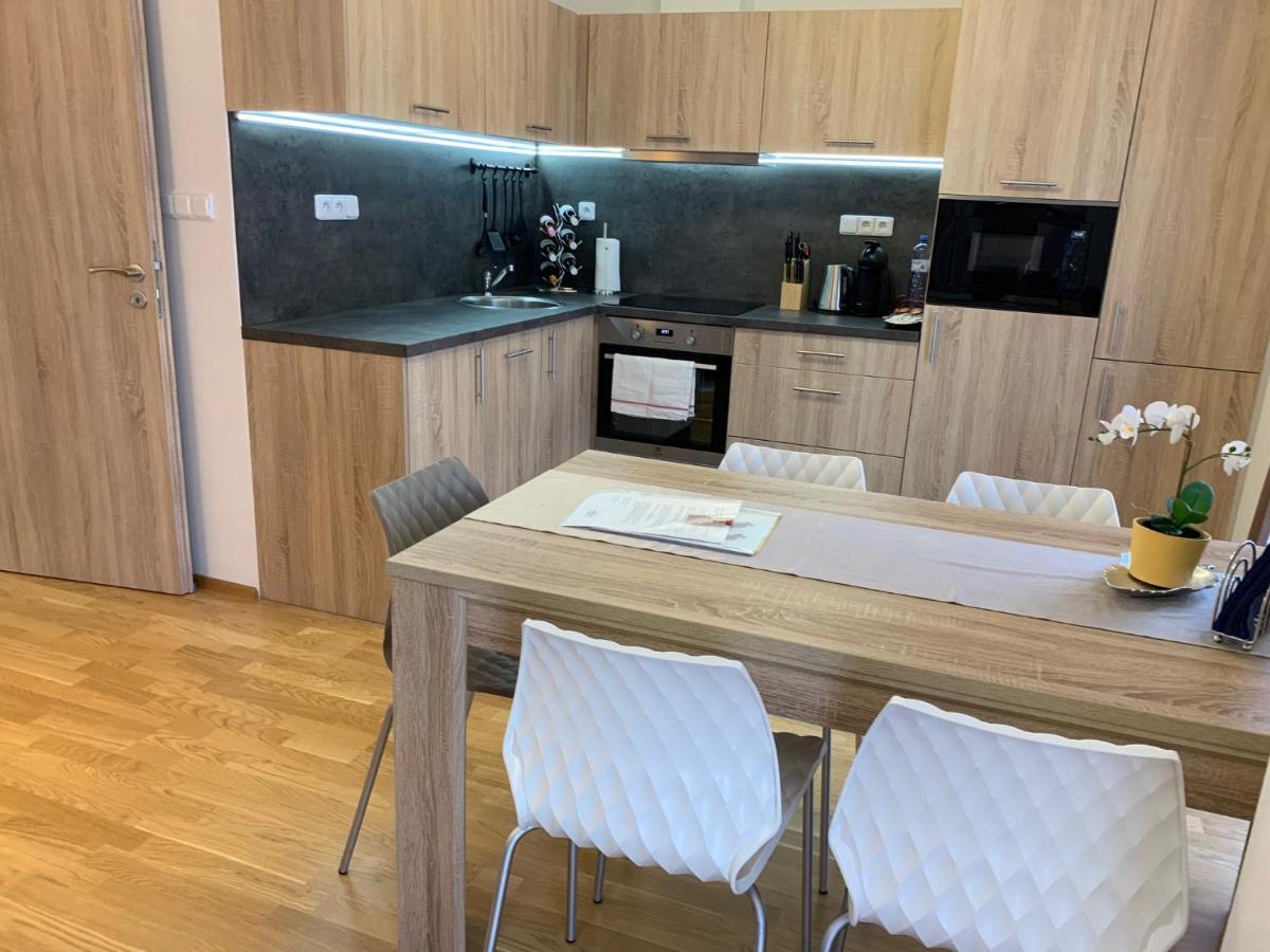 Apartment Rezidence - Javor & Wellness Железна Руда Екстер'єр фото