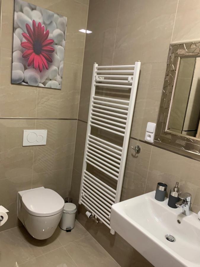 Apartment Rezidence - Javor & Wellness Железна Руда Екстер'єр фото