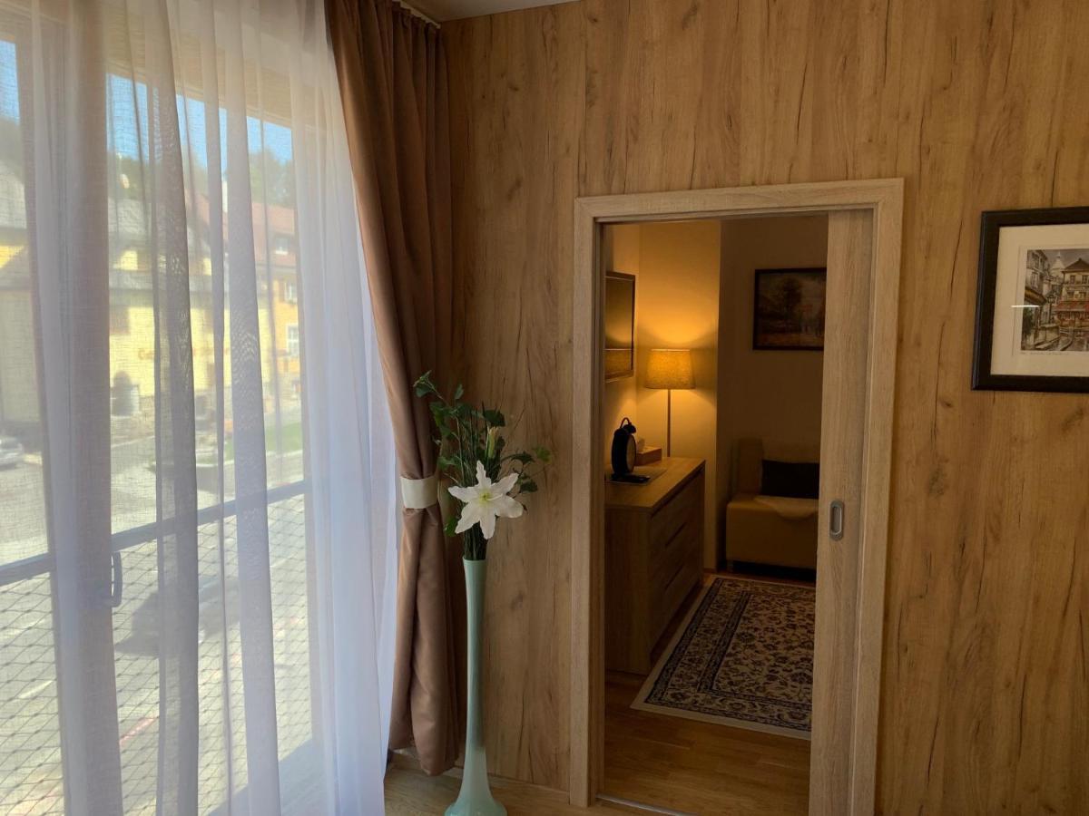 Apartment Rezidence - Javor & Wellness Железна Руда Екстер'єр фото