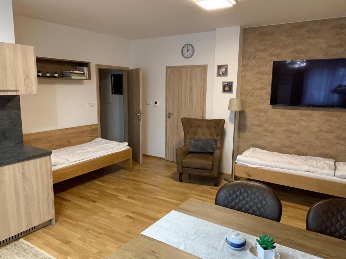 Apartment Rezidence - Javor & Wellness Железна Руда Екстер'єр фото