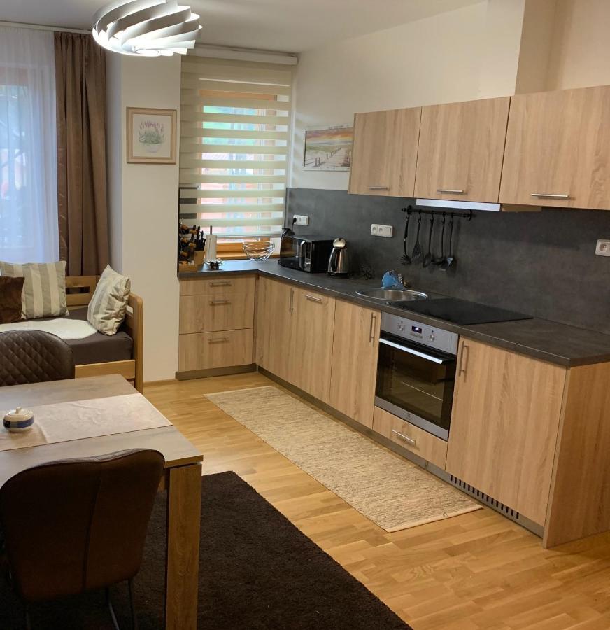 Apartment Rezidence - Javor & Wellness Железна Руда Екстер'єр фото