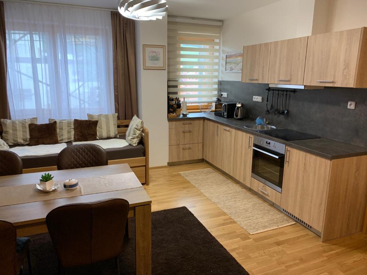 Apartment Rezidence - Javor & Wellness Железна Руда Екстер'єр фото