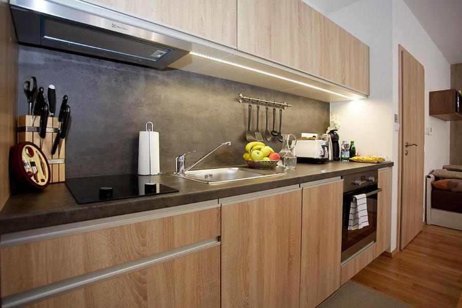 Apartment Rezidence - Javor & Wellness Железна Руда Екстер'єр фото