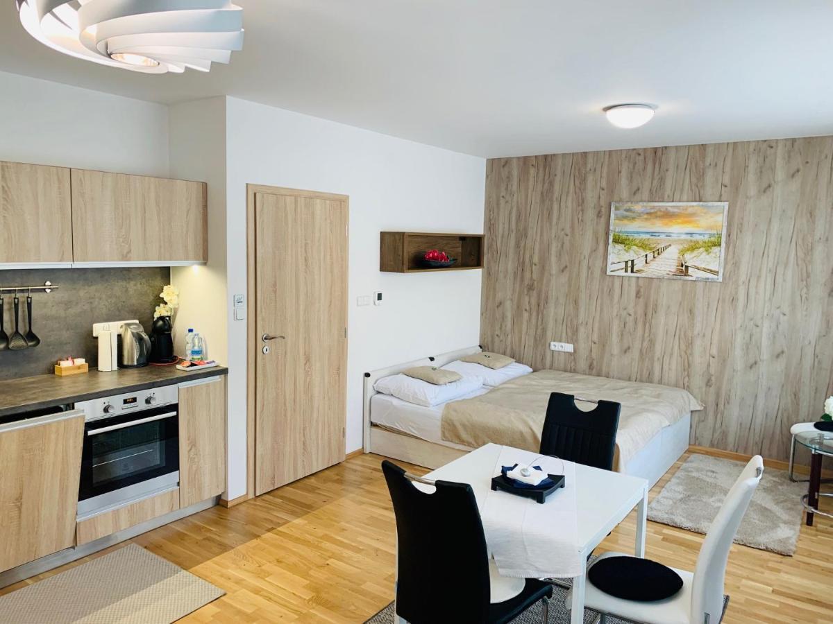 Apartment Rezidence - Javor & Wellness Железна Руда Екстер'єр фото